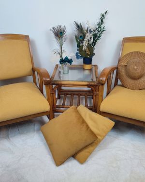Fauteuils Coloniaux “Castor & Pollux”